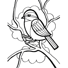Corrected the scaling of the manhunt tailgater model and fixed a few bugs. Bird Parrot Owl Coloring Book Penguin Sparrow White Child Png Pngegg