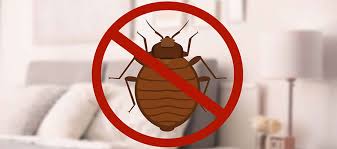 Jt eaton kills bedbugs, ticks and mosquito spray. Bed Bugs Faqs Getting Rid Of Bed Bugs In Your Home