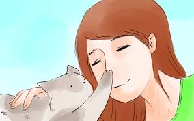 There's a reason why you were led to take this test. How To Find Your Spirit Animal 12 Steps With Pictures Wikihow