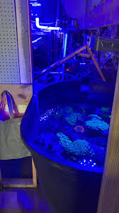 Current situation. Updates to come. Stay tuned!