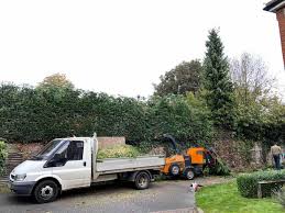 Hedgelaying is the process of bending and partially cutting (pleaching). Hedge Trimming Service Mayo Cut Your Hedges Now Castlebar