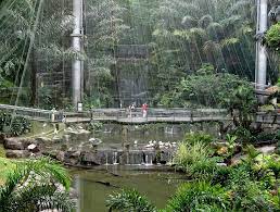 Kuala lumpur butterfly park is one of the largest in the world. Kuala Lumpur Butterfly Park In Kuala Lumpur Attraction In Kuala Lumpur Malaysia Justgola