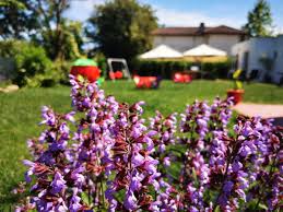 Maybe you would like to learn more about one of these? Complex Casute Anastasia Eforie Sud