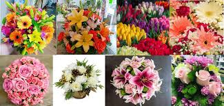 Connect with your local florists conveniently and get fresh flowers delivered to your doorstep in london, on, and all the surrounding areas including ailsa craig. Forest Of Flowers Tourism London