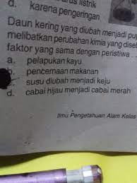 Daun yang mengering dan mudah hancur hanya menyisakan kandungan organik yang sangat sedikit. Daun Kering Yang Diubah Menjadi Pupuk Kompos Melibatkan Perubahan Kimia Yang Disebabkan Oleh Brainly Co Id