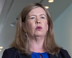 Bemused Scots flock to dock for a 'wry chuckle' at stranded Tasmanian ferry  that helped sink a premier