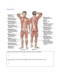Almost every muscle constitutes one part of a pair of identical bilateral. File Fourth Grade Printing Needs