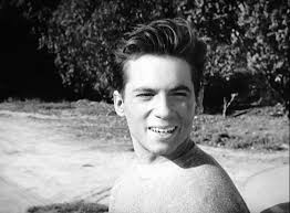 The Andy Griffith Show (1960)