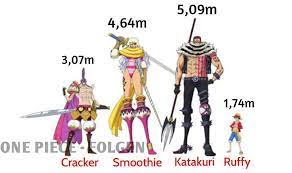 One Piece Shop With Free Worldwide Shipping One Piece Merchandise One Piece Imagens Animadas Anime