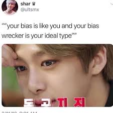 Omg Yeesss From Bts I M Like Jeongguk My Bias And Hoseok Is Definitely My Ideal Type Kpop Memes Bts Bts Memes Hilarious Kpop Memes