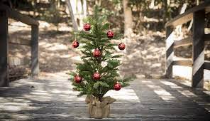Check spelling or type a new query. Ou Acheter Ou Couper Son Sapin De Noel A Munich Vivre A Munich