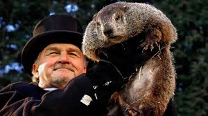 Phil'S No-Show Shadow: Rodent Meteorologist Declares Early American Spring  - Efe Noticias