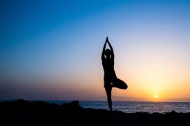But these are unusual times, so please check that venues remain open. Woman Doing Yoga Tree Sunset Silhouette Yoga Garden San Francisco Bay Area