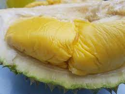 Perjalanan buah durian murah dari kebun sampai ke pembeli. Durian King Ttdi Home Facebook