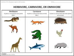 Herbivore Carnivore Or Omnivore Graphic Organizers By Innovative Teacher This Graphic Organizer Will A Graphic Organizers Elementary Science Science Lessons