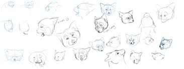 Red Panda Anatomy Study Face By Moochard Panda Roux Batiments Minecraft Petit Panda