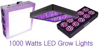 The best way to assess the light intensity of a grow light is to look at its ppf and ppfd measurements. Best 1000 Watts Led Grow Lights For Sale In 2018 Indoorgrowledlights Com