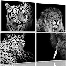 Feeby Frames Leinwandbild Bilder Wand Bild 4 Teile Wandbilder Kunstdruck 40x40 Cm Lowe Tiger Elefant Tiere Afrika Leinwand Leinwandbilder Elefant