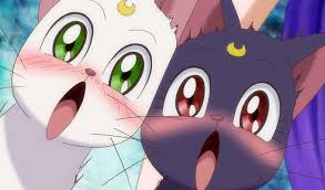 Berikut puluhan wallpaper anime keren yang bisa kami bagikan untuk anda. 7 Kucing Imut Paling Populer Dalam Anime Bagian 1 Kincir Com