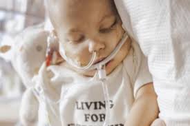 Fundraiser for Lindsay Mains by Brittany Mains : Brave Little Luna