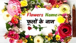 Flowers and names in hindi. Flowers Name In Hindi English à¤« à¤² à¤• à¤¨ à¤® Name Of Flowers List