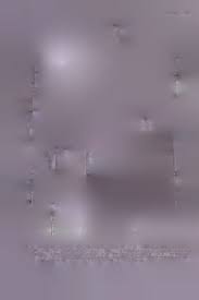 Image result for Aspidoglossum biflorum