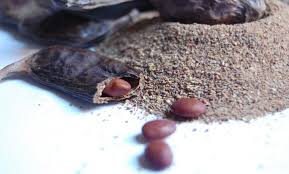 Agroalimentaire La Poudre De Caroube Une Alternative A L Importation De Cacao