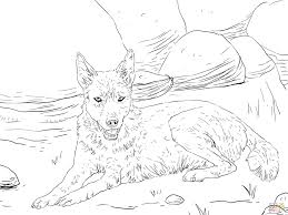 You can use our amazing online tool to color and edit the following dingo coloring pages. Dingo Lying On The Ground Coloring Page Supercoloring Com Animal Coloring Pages Coloring Pages Stuffed Animal Patterns