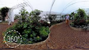 Build your own butterfly garden. Tropical Butterfly House 360 Tour Sensational Butterflies Natural History Museum Youtube