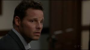 Grey's Anatomy by Douglas Lenon