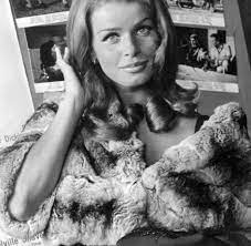 She received many award nominations for her acting in theatre, film and television; Schauspielerin Senta Berger Ihre Internationale Filmkarriere Bilder Fotos Welt