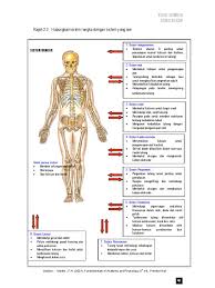 Bile membantu anda mencerna lemak. Buku Sumber Sains Sukan Rajah 2 2 Hubungkait