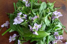 Trees by post is a leading uk supplier of trees, tree gifts, seedlings, saplings, hedging, shrubs, marginal pond plants & wild flowers. Celebrating June Growing Picking Preserving Edible Native Flowers Permaculture Magazine