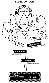 8 limbs of the yoga sutras mitashah