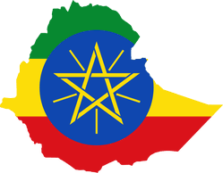 History Of Ethiopian New Year What Is Enkutatash Ethiopia Flag Ethiopia Ethiopian New Year