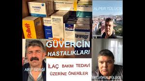Guvercin Hastaliklari Bakim Tedavi Ilac Youtube