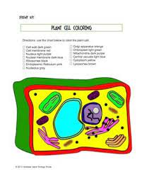 Check spelling or type a new query. Plant Cell Coloring Sheet By Biology Roots Teachers Pay Teachers