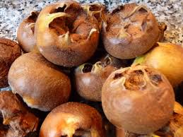 We did not find results for: Medlar Jelly The Ordinary Cook