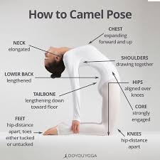 Camel pose for back pain relief & thyroid gland better functioning. Vir Yoga Today S Backbend Is Ustrasana Or The Camel Pose For Modification You Can Tuck Your Toes Under And Place Hands On The Heels Or For Gentler Version Simply Just Place