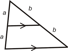 It gives you a few examples and practice problems for. Triangle Proportionality Read Geometry Ck 12 Foundation