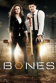 Bones é uma série televisiva americana exibida pela fox nos estados unidos. Serie Bones Temporada 12 Online Latino