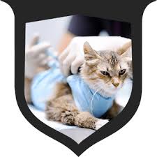 Find affordable care for your pets today. Home Heritage Animal Hospital