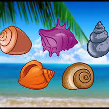 They can be used as horns and home decorations, and some people say that you can hear the sound of the ocean if you press a conch up to your ear. How To Draw Shells Step By Step Drawing Guide By Dawn Dragoart Com