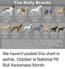 The Bully Breeds Alapaha Blue Johnson Scott Dogo Argentino