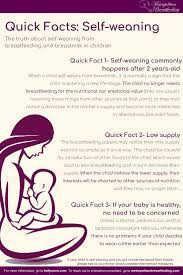 Do Babies Under 12 Months Self Wean Kellymom Com Breastfeeding Weaning Breastfeeding Baby Sleep Problems