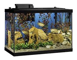 Tetra Aquarium Kit 20 Gallon Standard Shopswell Aquarium Fish Tank Aquarium Fish 20 Gallon Aquarium