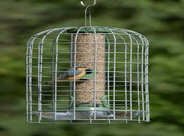 Customers of the audubon squirrel proof bird feeder highly rate the visual aspect of this feeder, claiming it adds an attractive feature to the garden. Do Squirrel Proof Bird Feeders Actually Work The Independent