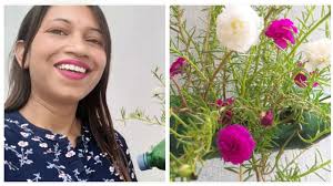 Moss rose in plastic bottle/Best method to grow moss rose/Portulaca/Table  rose/Mexican rose