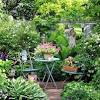 Joni, of my secret garden, transformed my backyard from an uninspiring, depressing mess to a place of beauty and joy. Https Encrypted Tbn0 Gstatic Com Images Q Tbn And9gcs2 Kxwrrppqw7p3xltfk6dpfglwtww Rwcjzmb1reu3tiksyfc Usqp Cau