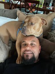 Shear Artistry by Abel